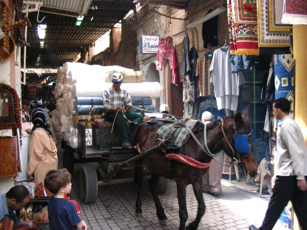 5150-marrakech-medina-mule-wagon-apr13-2005