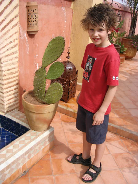 5171-marrakech-dar-el-aila-cactus-eric-terrace-apr14-2005
