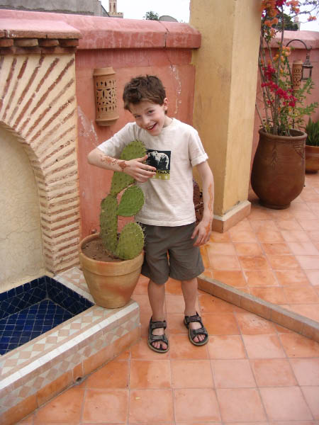 5176-marrakech-dar-el-aila-cactus-terrace-timothy-apr14-2005