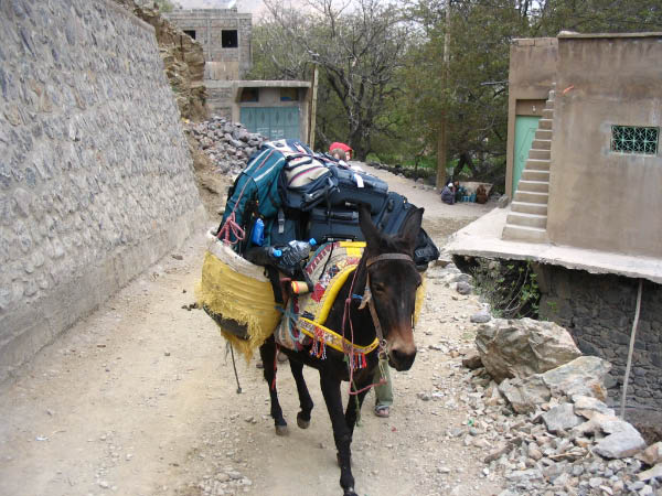 5247-imlil-village-mule-with-luggage-apr15-2005