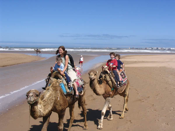 5670-essaouira-beach-camels-apr19-2005