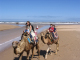 5670-essaouira-beach-camels-apr19-2005