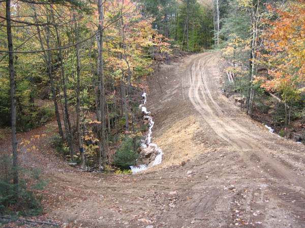 8599-farm-lakes-old-road-logging-road-at-1st-lake-oct08-05