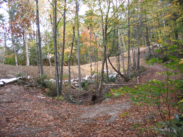 8606-farm-lakes-old-road-logging-road-at-1st-lake-oct08-05