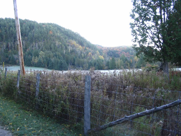 8646-farm-cottage-field-frosty-morn-oct9-2005