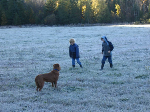 8652-farm-wrinkles-eric-tim-frosty-morn-oct9-2005
