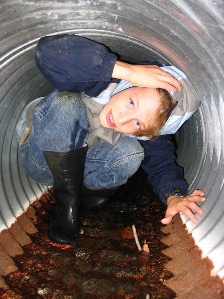 8704-farm-creek-hike-tim-culvert-pipe-oct9-2005