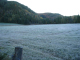 8629-farm-cottage-field-frosty-morn-oct9-2005