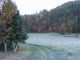 8632-farm-cottage-field-frosty-morn-oct9-2005