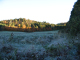 8638-farm-field-behind-cottage-frosty-morn-oct9-2005