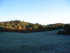 8643b-farm-field-behind-cottage-frosty-oct9-2005
