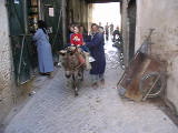 Grace and Sam ride a mule to Riad Saada