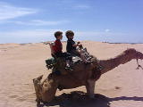 Tim, Eric, Grace, Mom on Camels